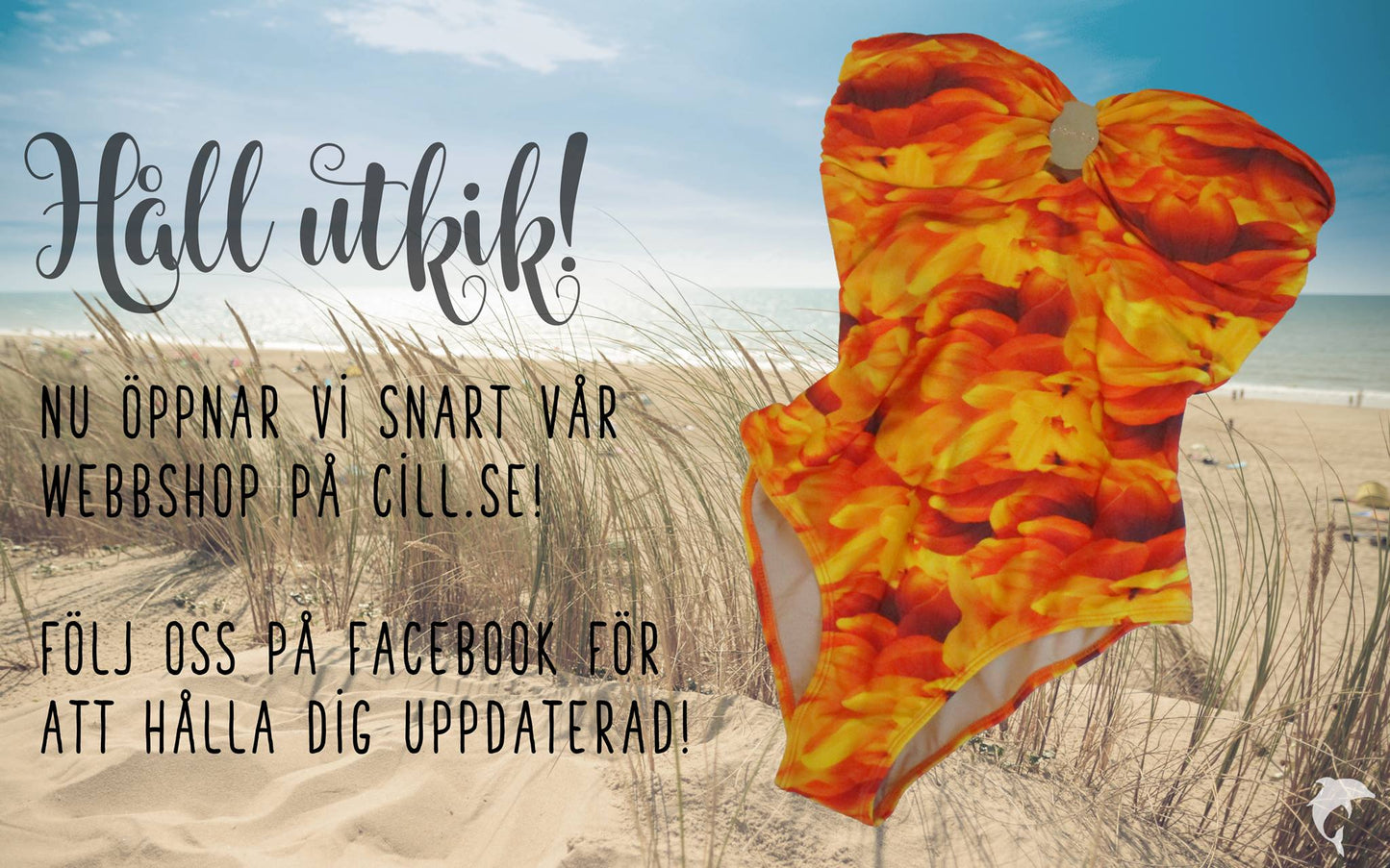 Body orange bazar