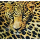 SQNSP00352 - 357 Sarong Leopard bazar